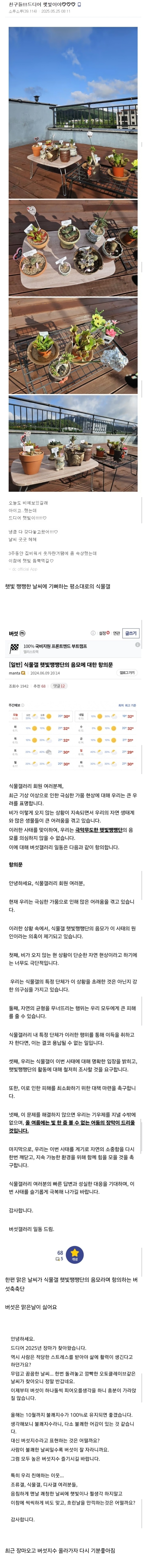 게시물 이미지