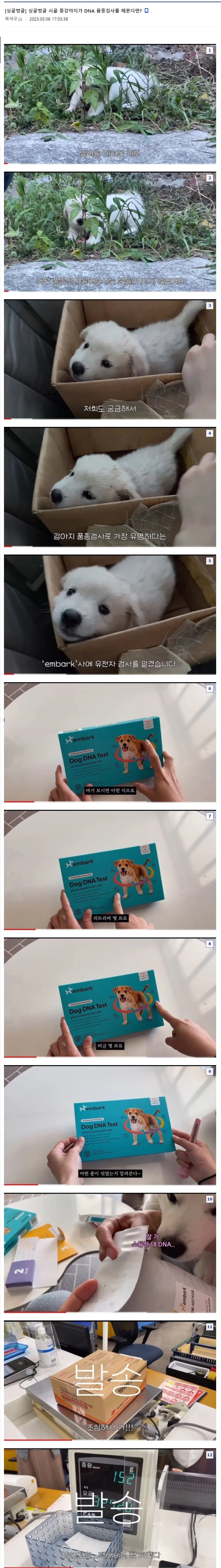 게시물 이미지