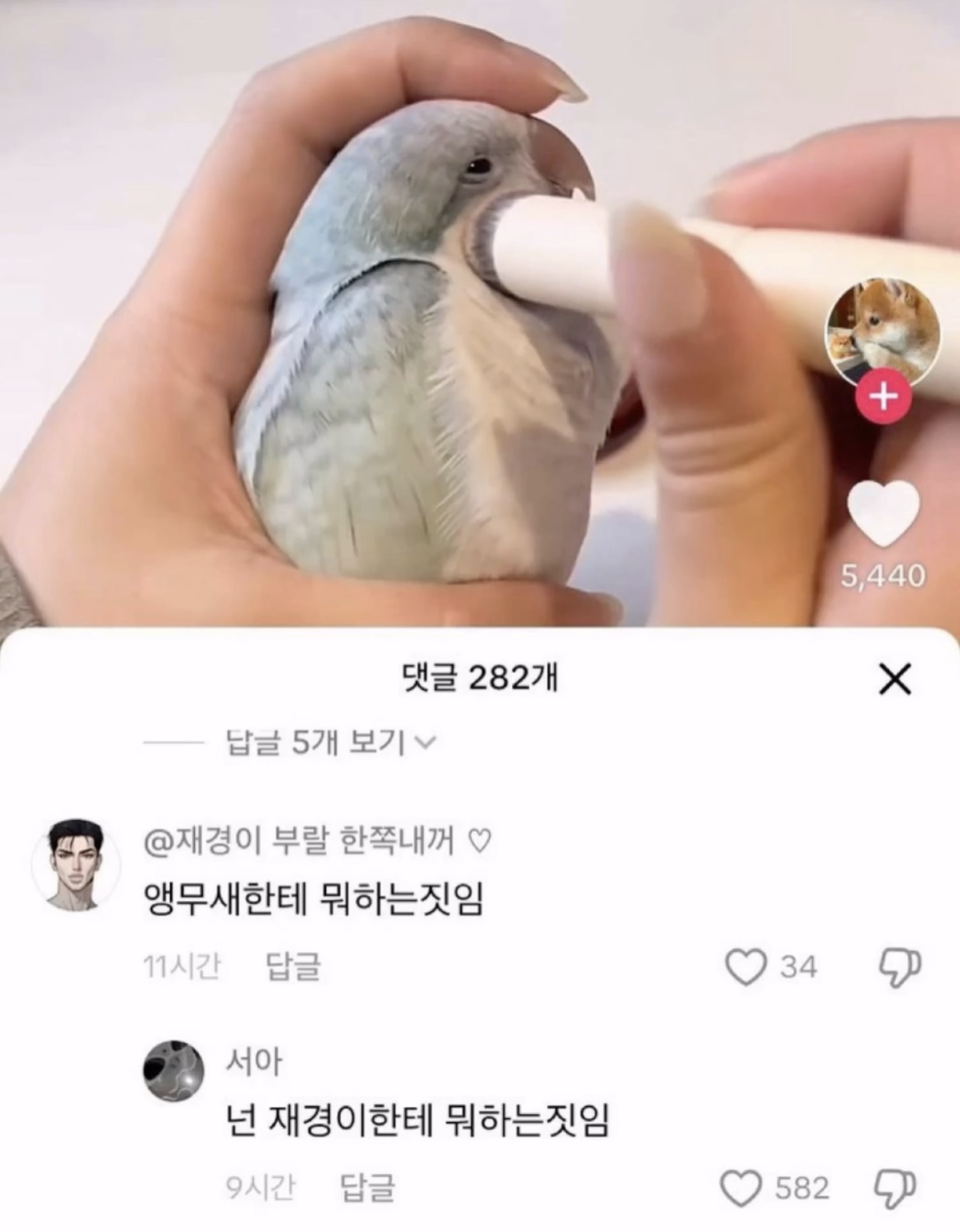 게시물 이미지