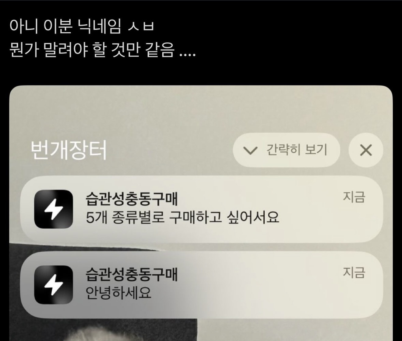 게시물 이미지