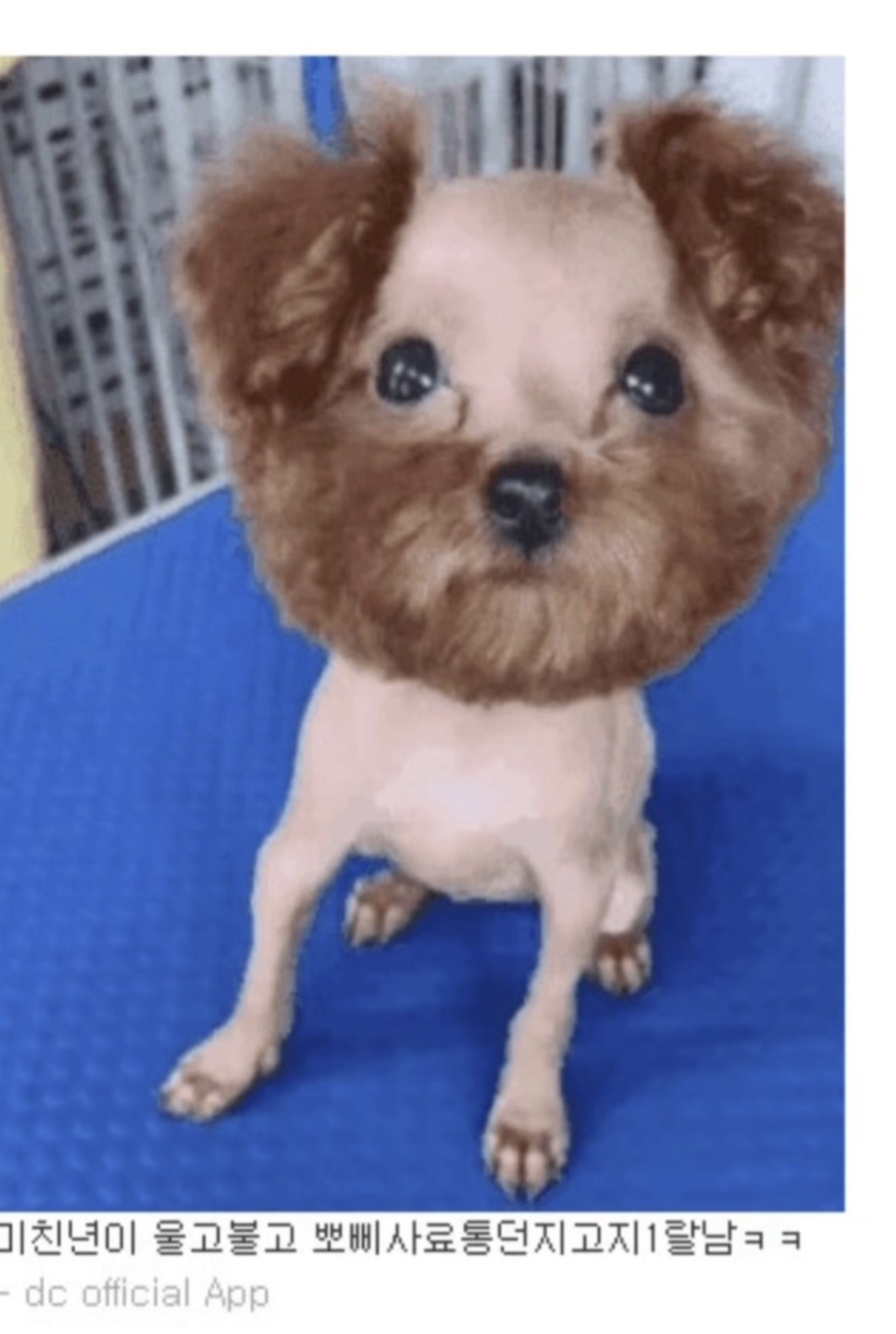 게시물 이미지