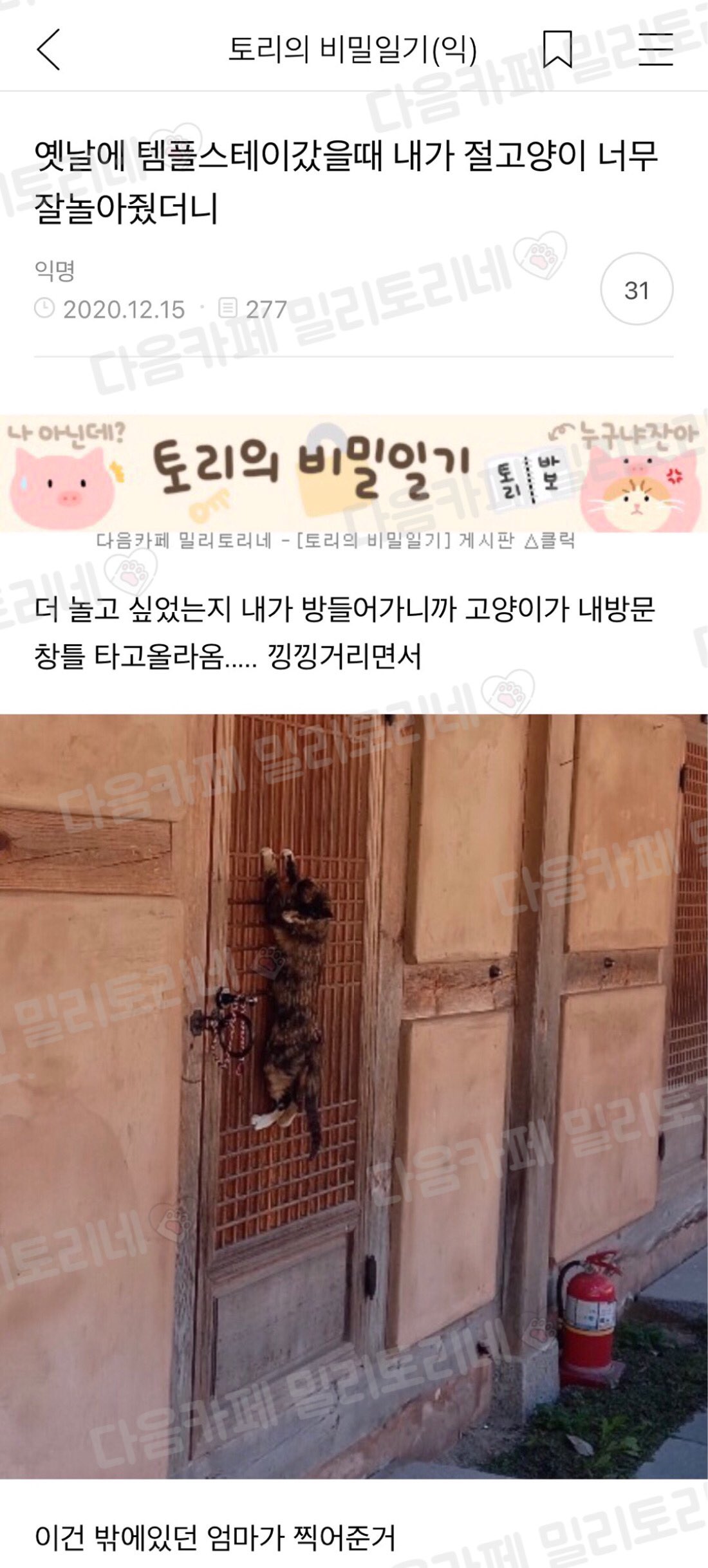 게시물 이미지