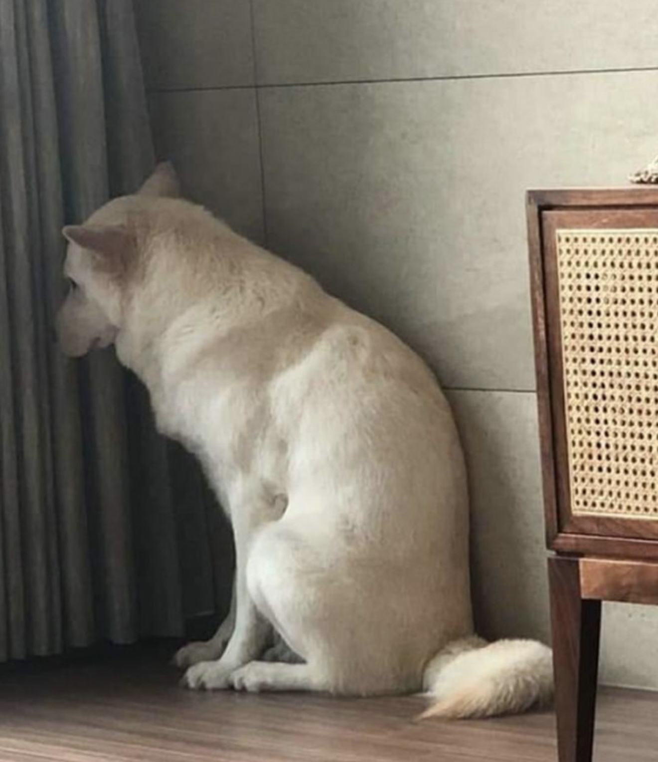 게시물 이미지