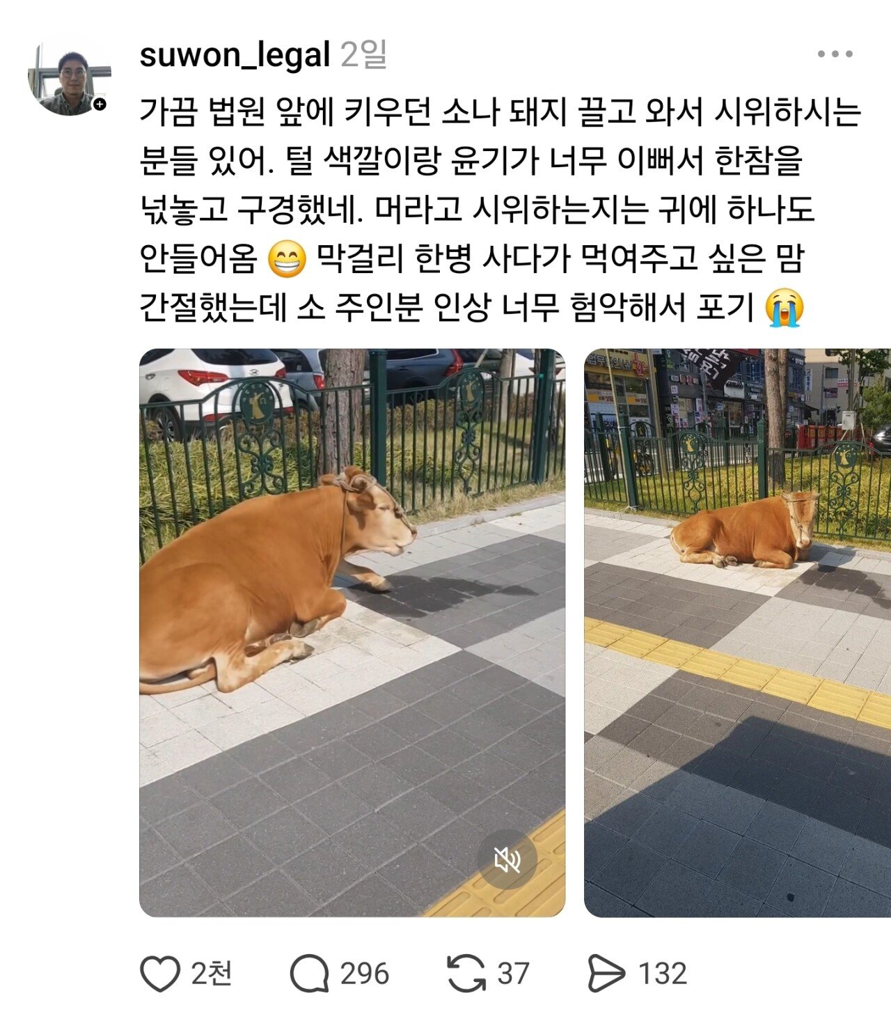 게시물 이미지