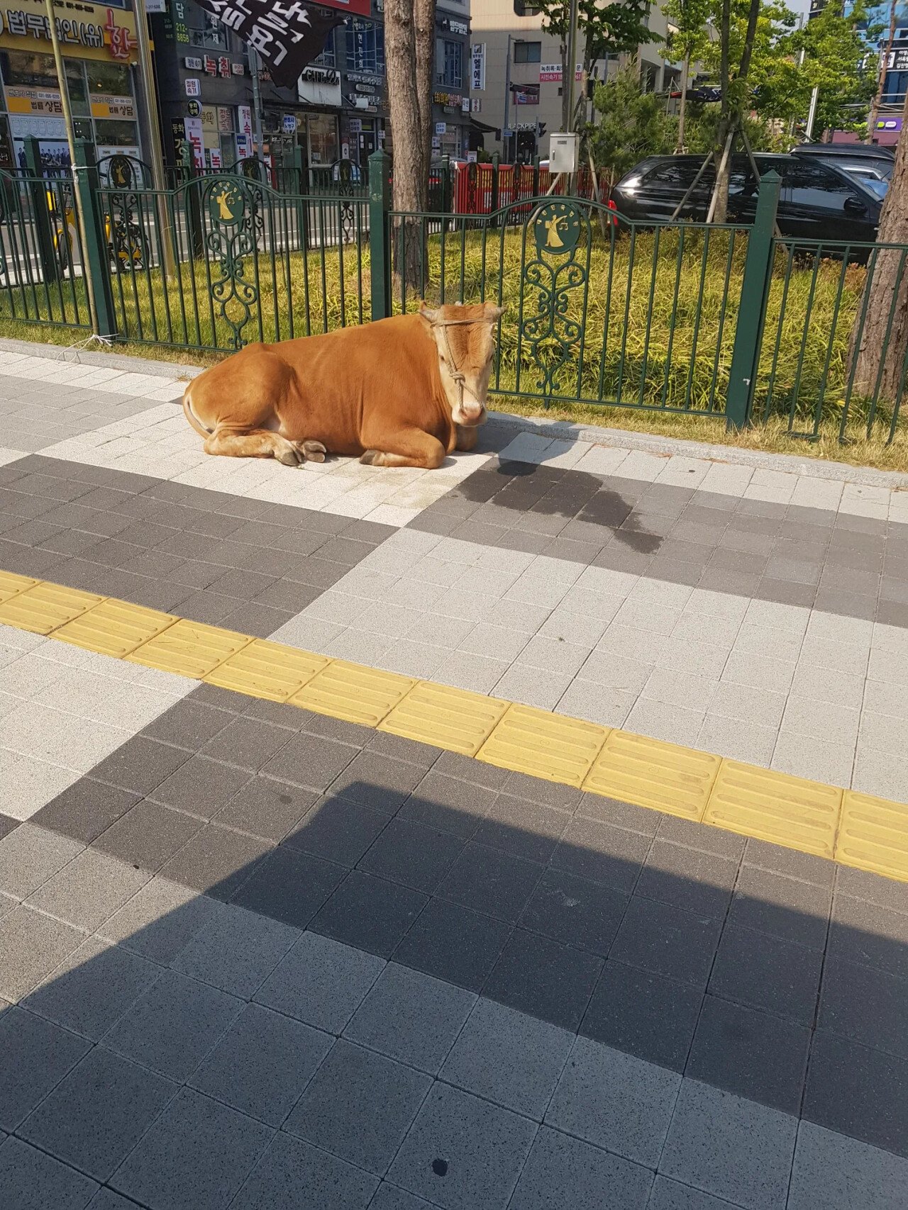 게시물 이미지