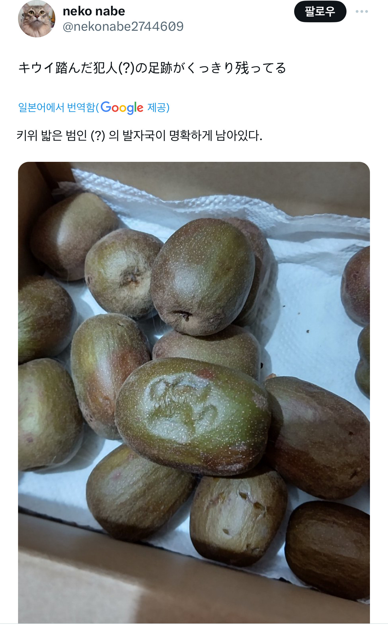게시물 이미지