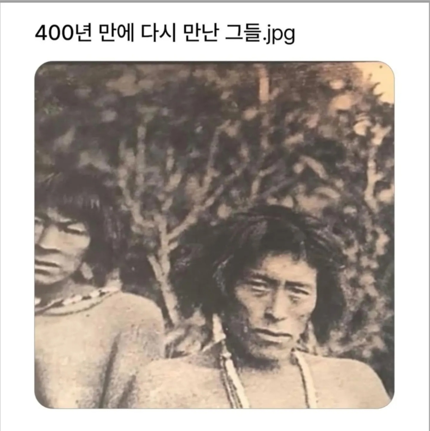 게시물 이미지