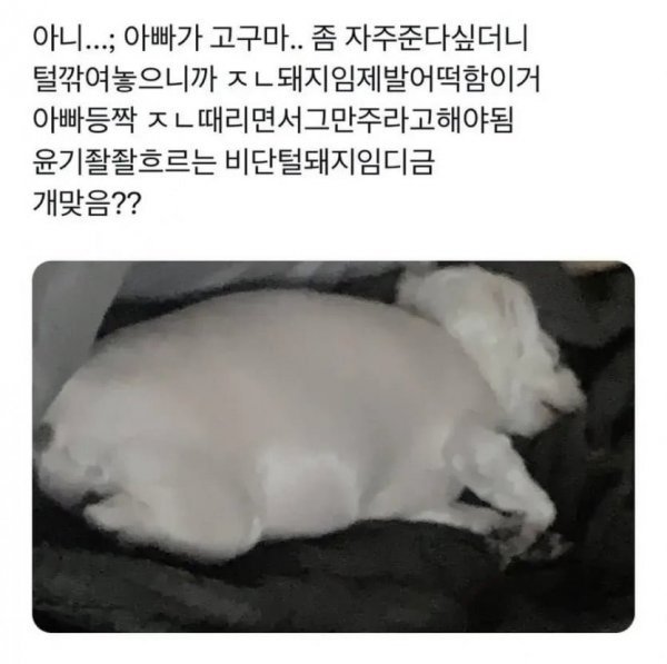 게시물 이미지