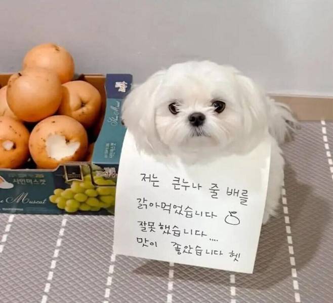 게시물 이미지