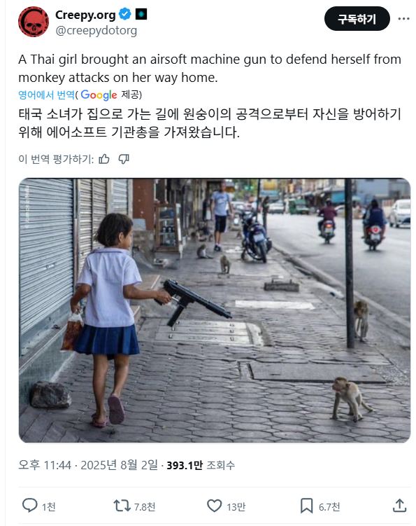 게시물 이미지