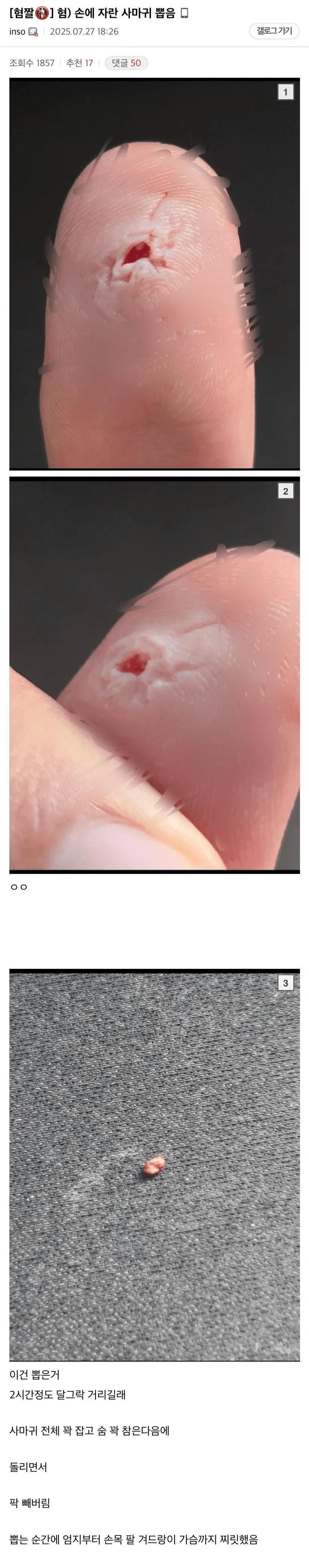 게시물 이미지
