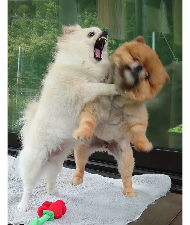게시물 이미지