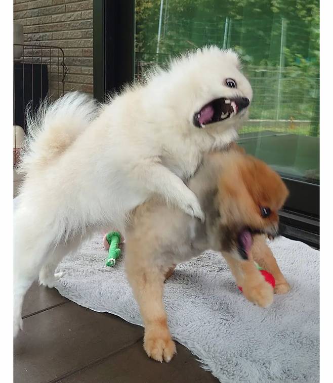 게시물 이미지
