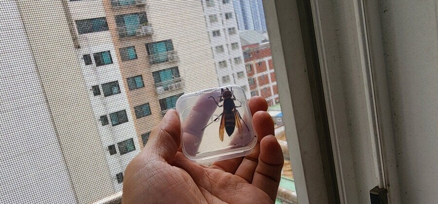 게시물 이미지