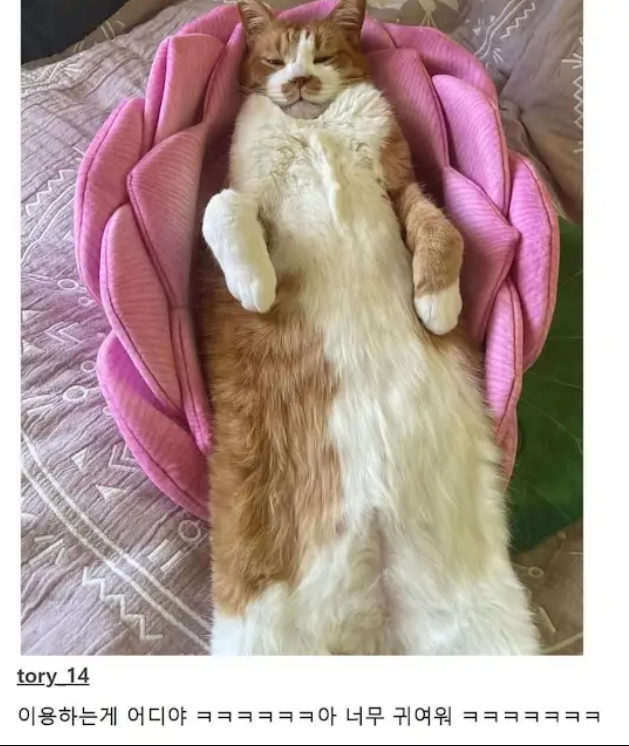 게시물 이미지