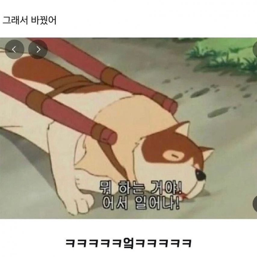 게시물 이미지