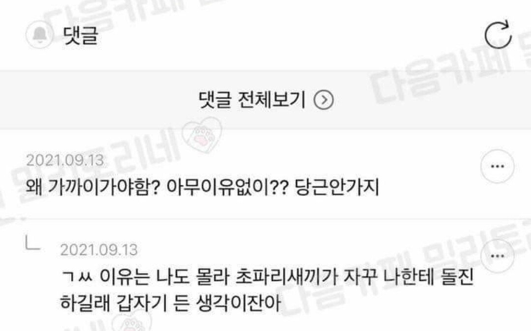 게시물 이미지