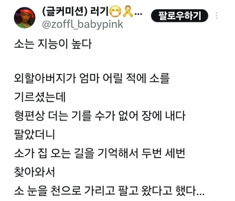 게시물 이미지