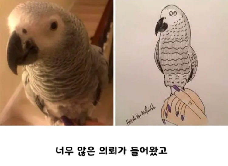 게시물 이미지