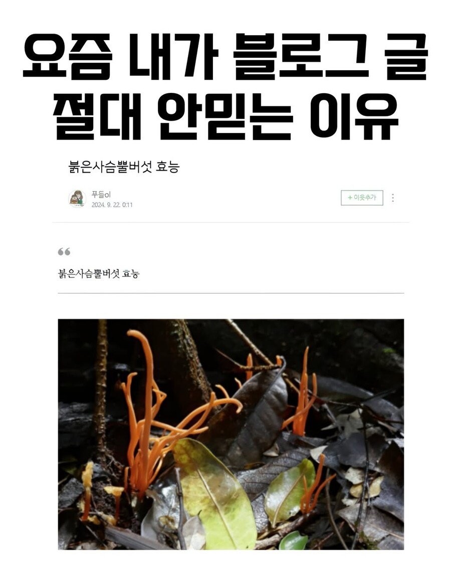 게시물 이미지
