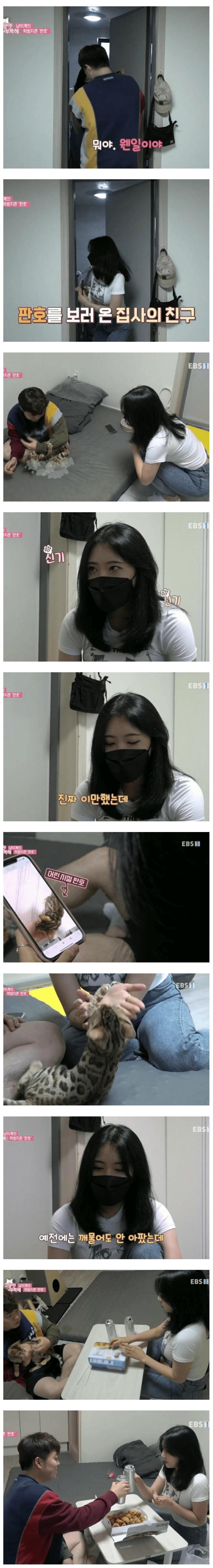 게시물 이미지