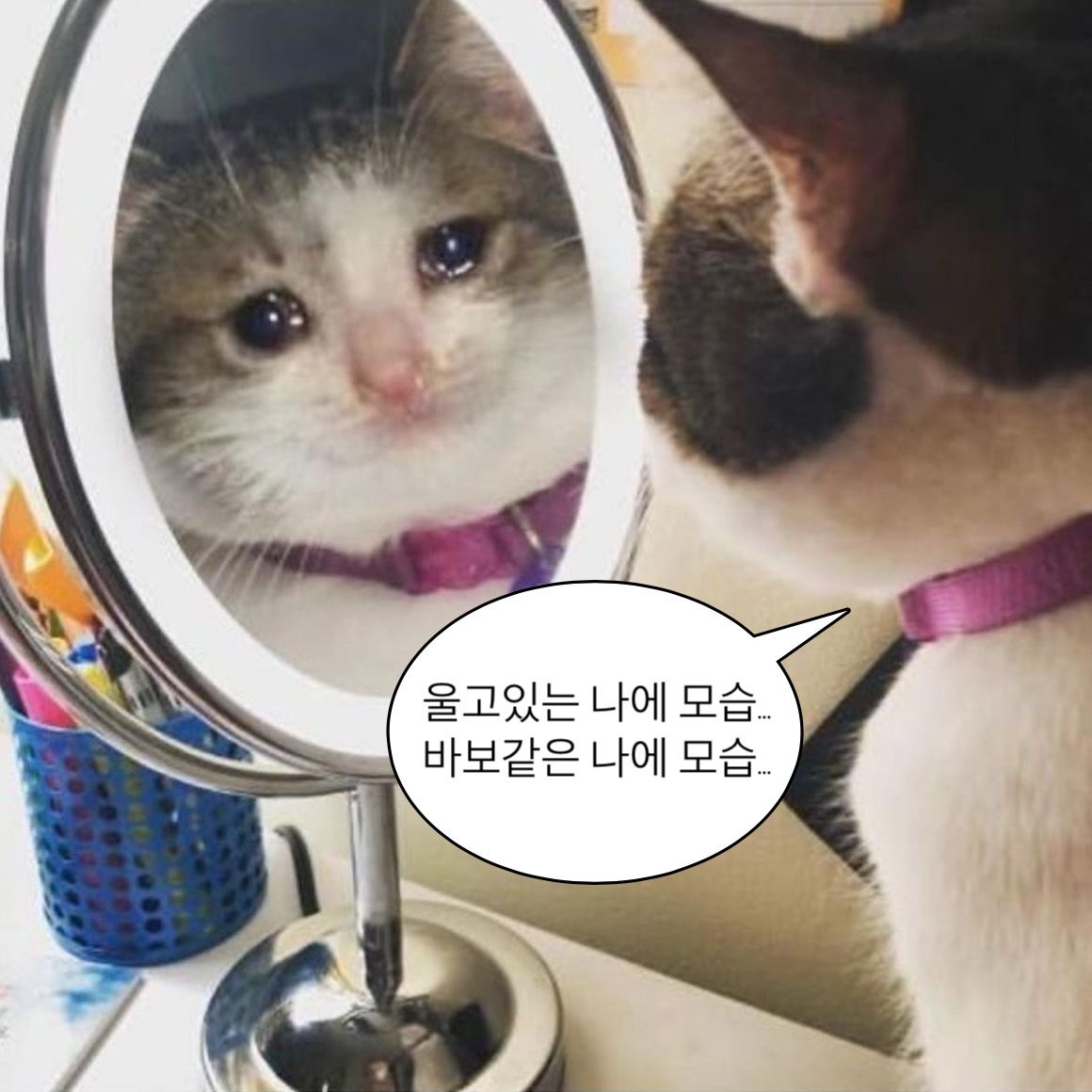 게시물 이미지