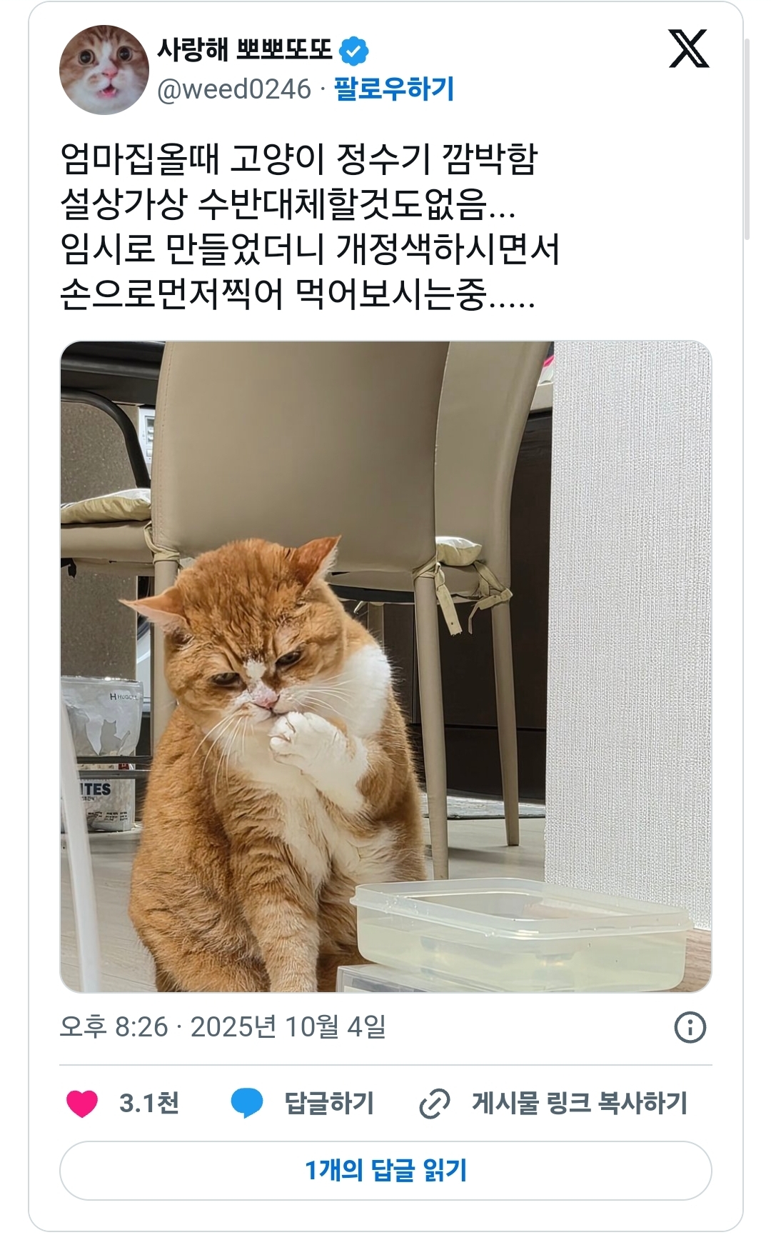 게시물 이미지