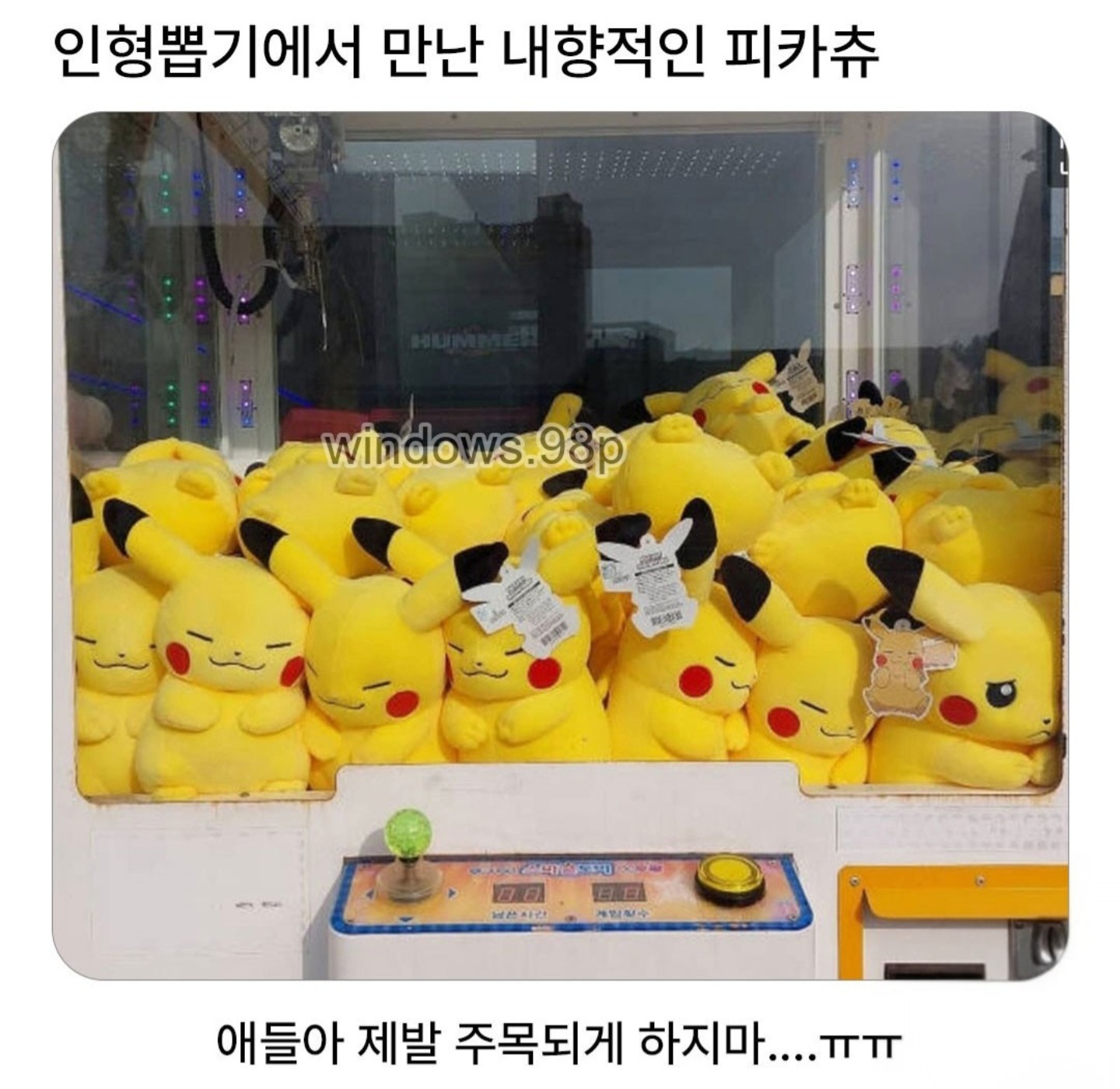 게시물 이미지