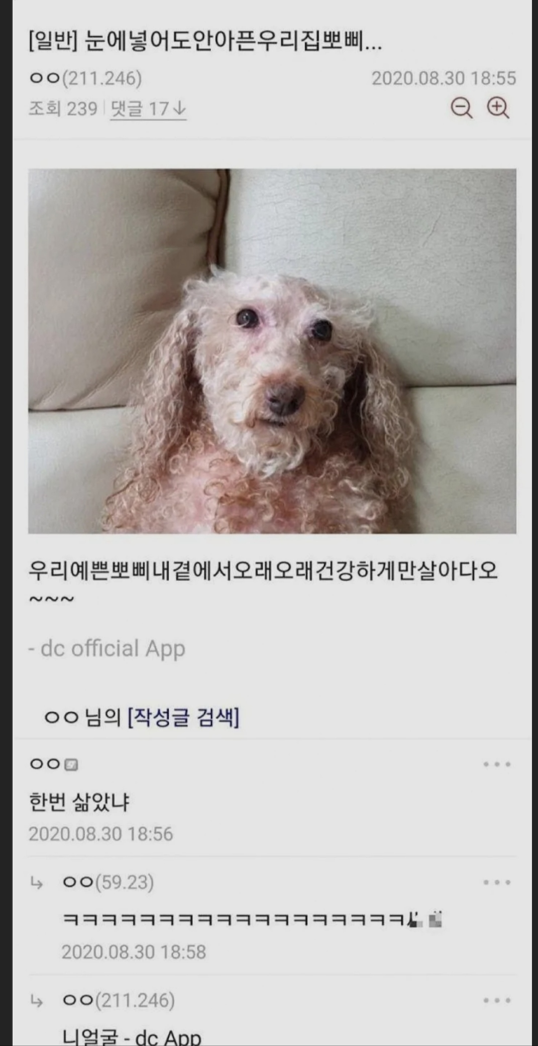 게시물 이미지