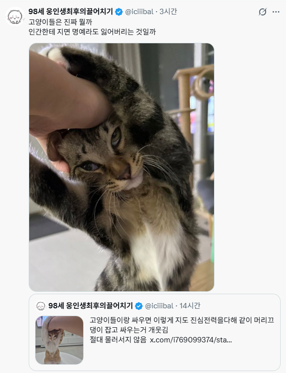 게시물 이미지