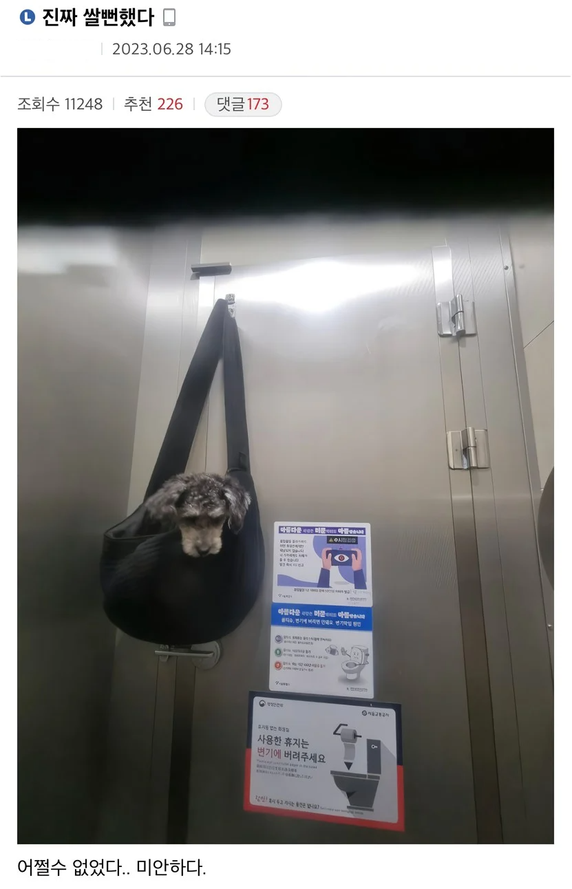 게시물 이미지