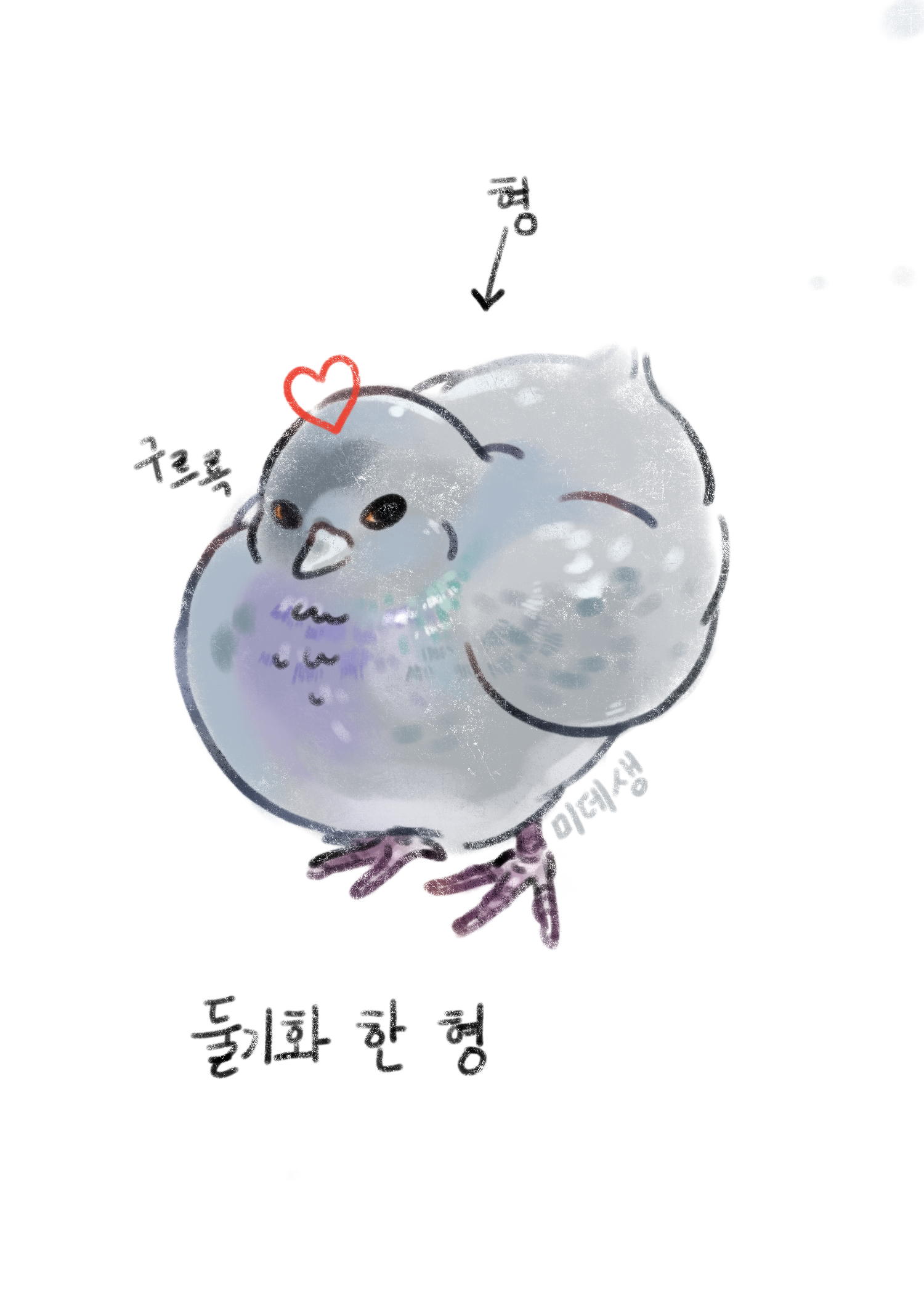 게시물 이미지