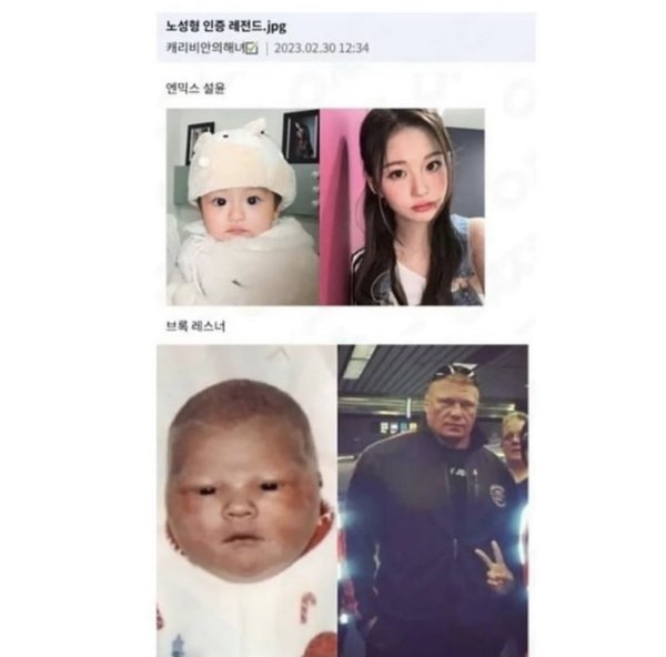 게시물 이미지