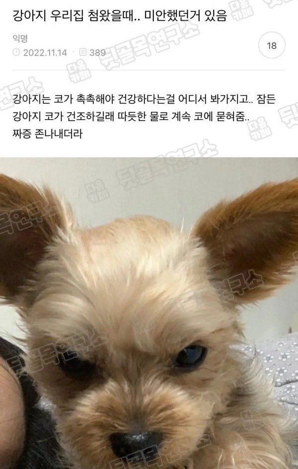 게시물 이미지
