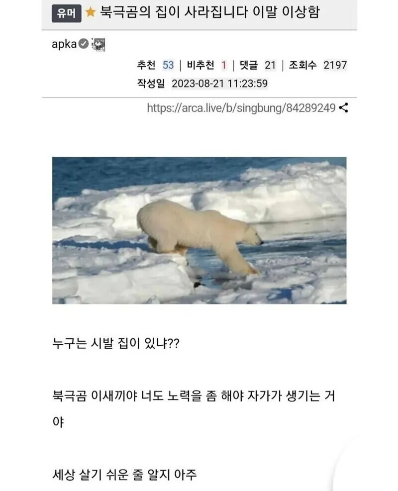 게시물 이미지