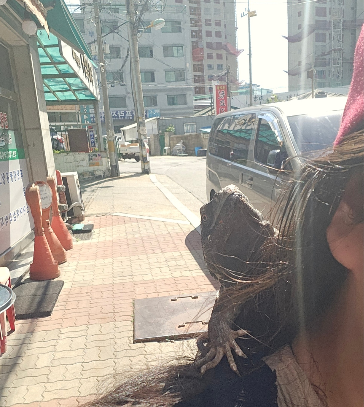 게시물 이미지