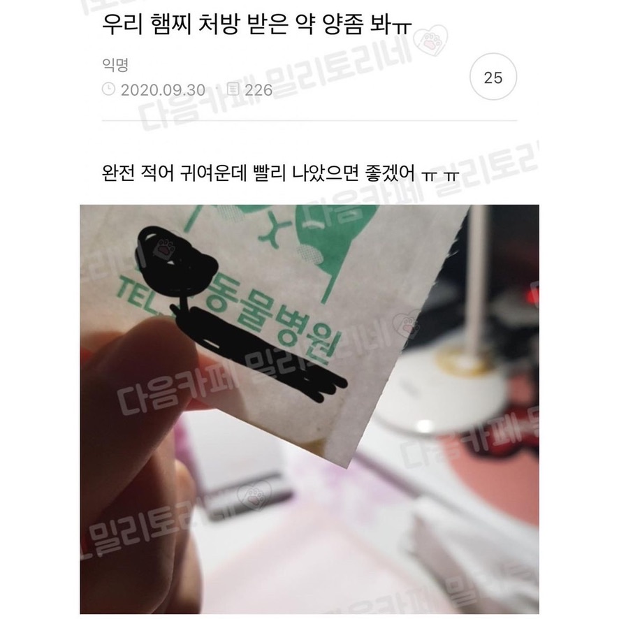 게시물 이미지