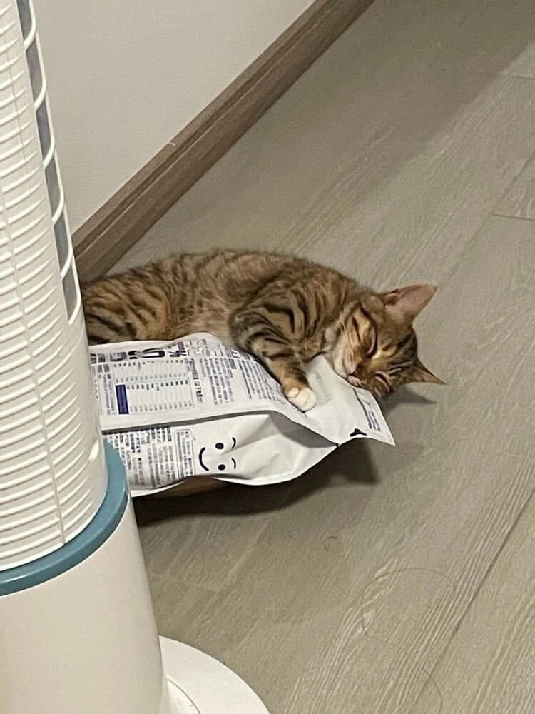 게시물 이미지