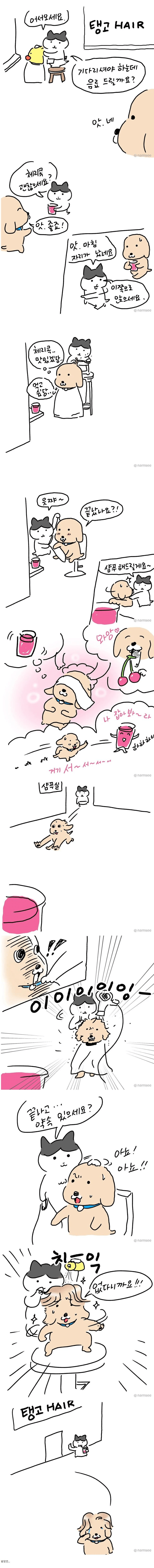게시물 이미지