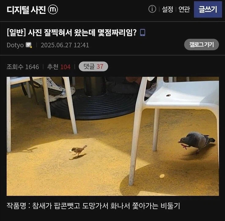 게시물 이미지