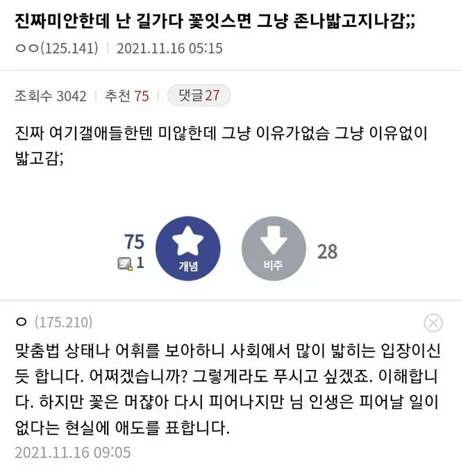 게시물 이미지