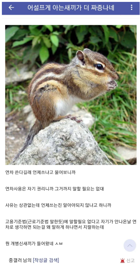 게시물 이미지
