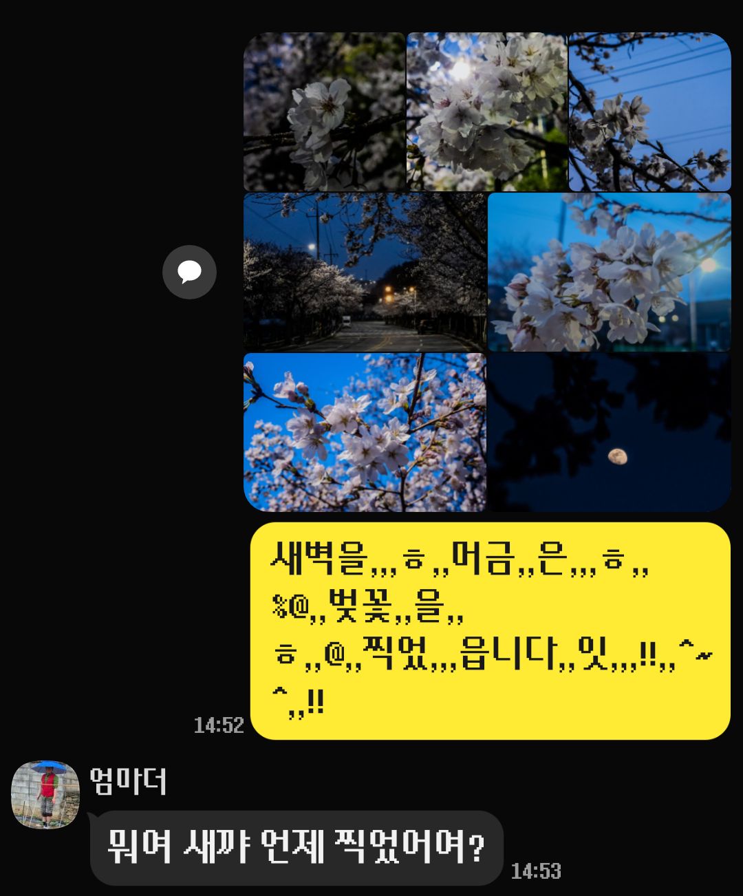 게시물 이미지