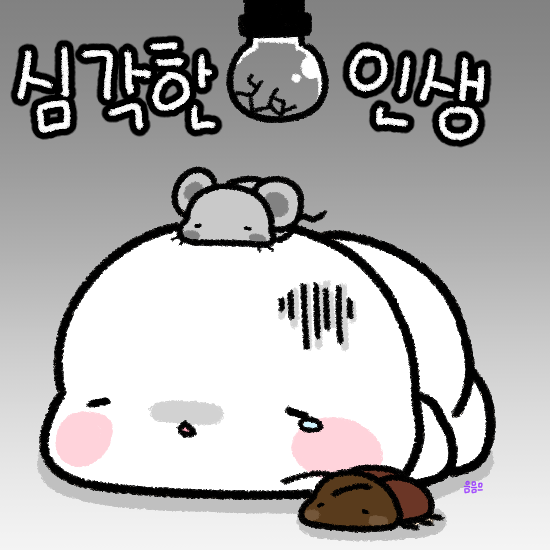 게시물 이미지