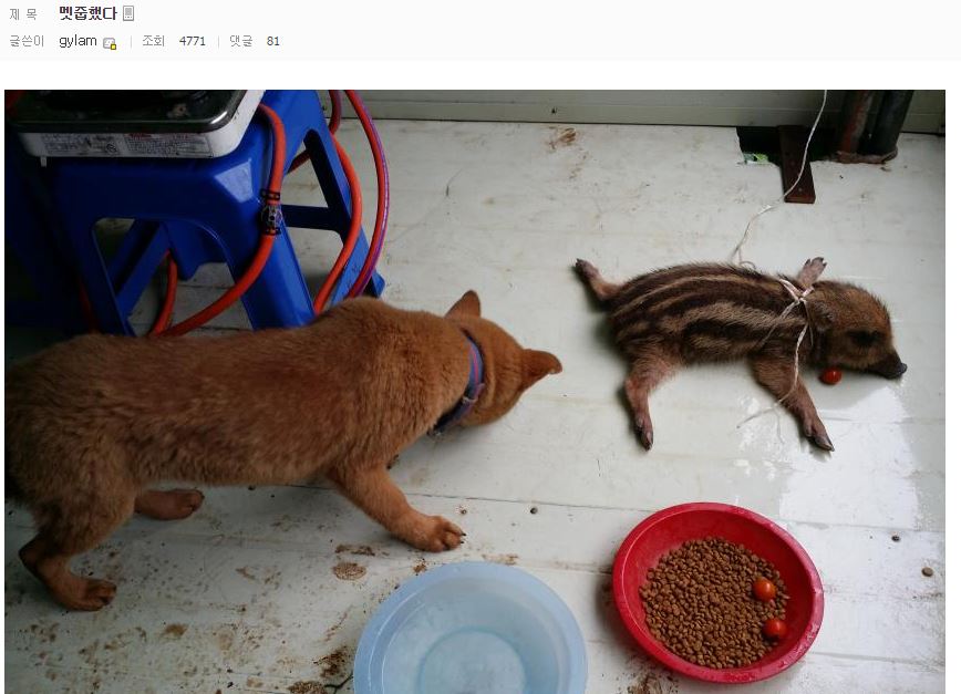 게시물 이미지