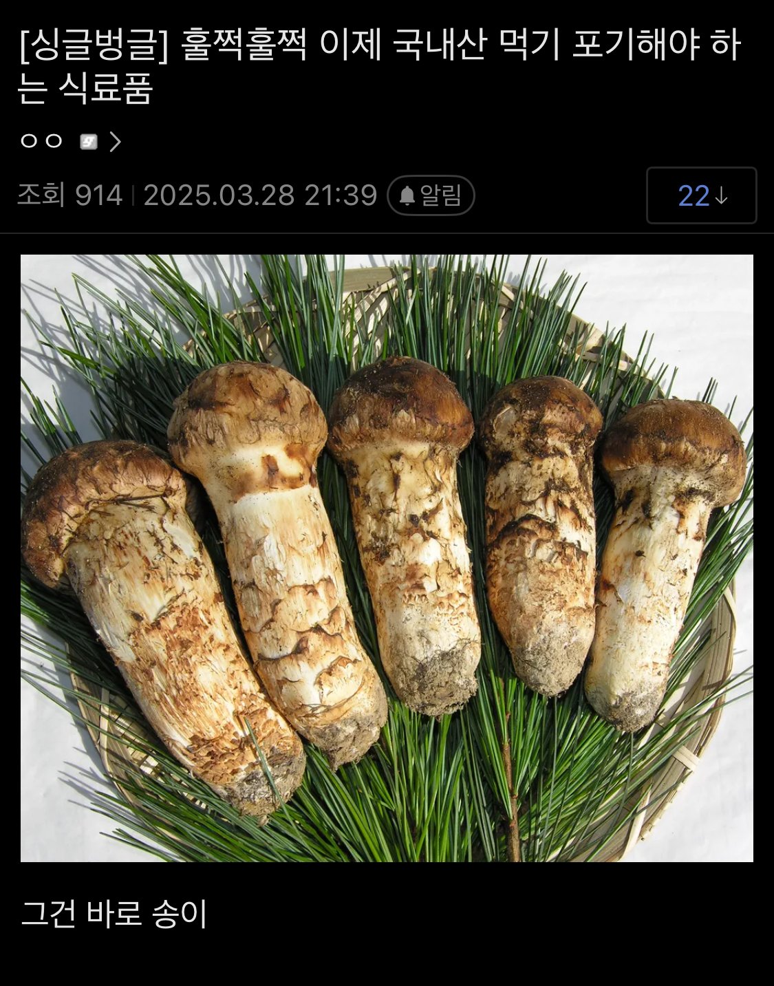 게시물 이미지