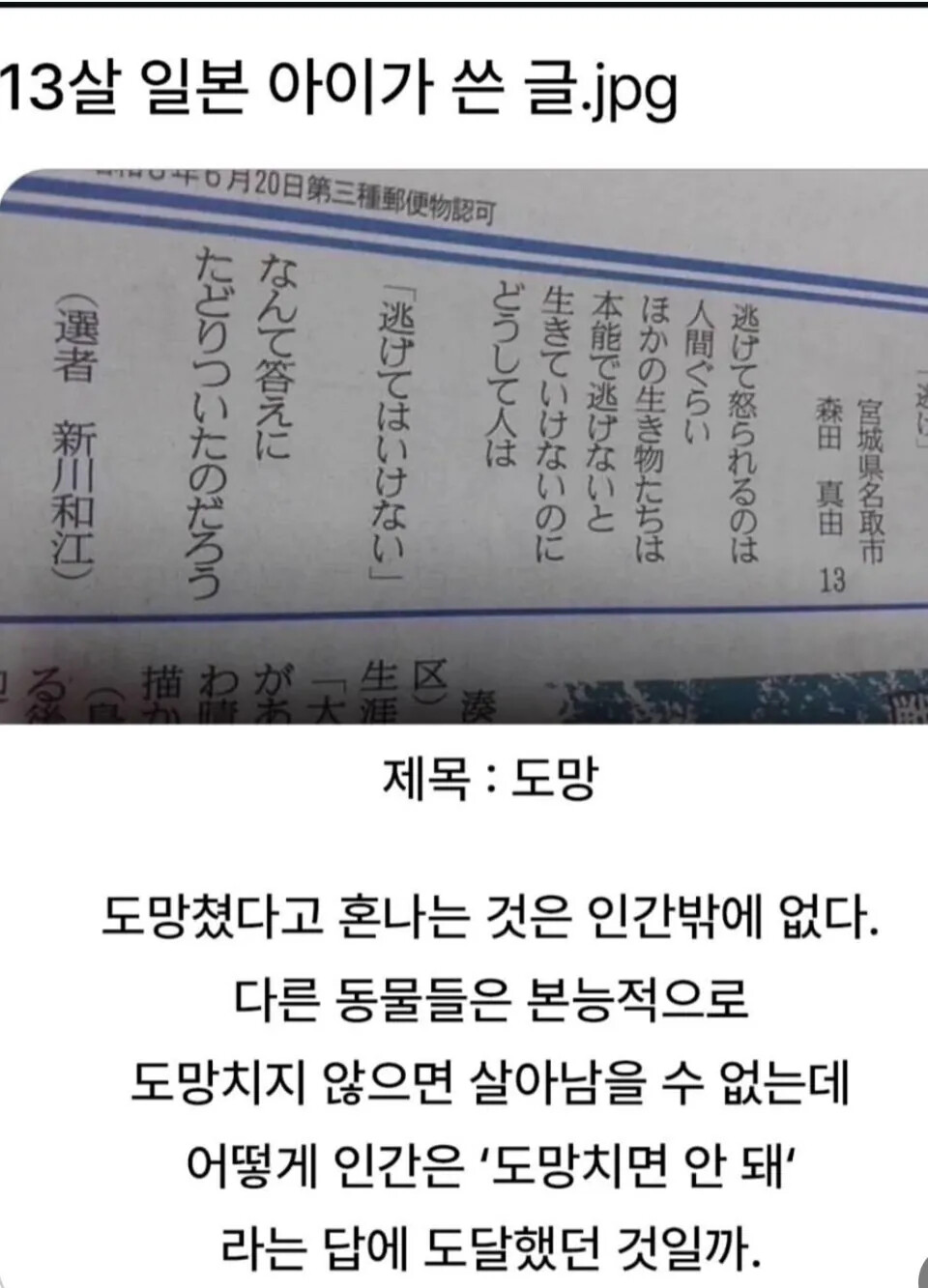 게시물 이미지