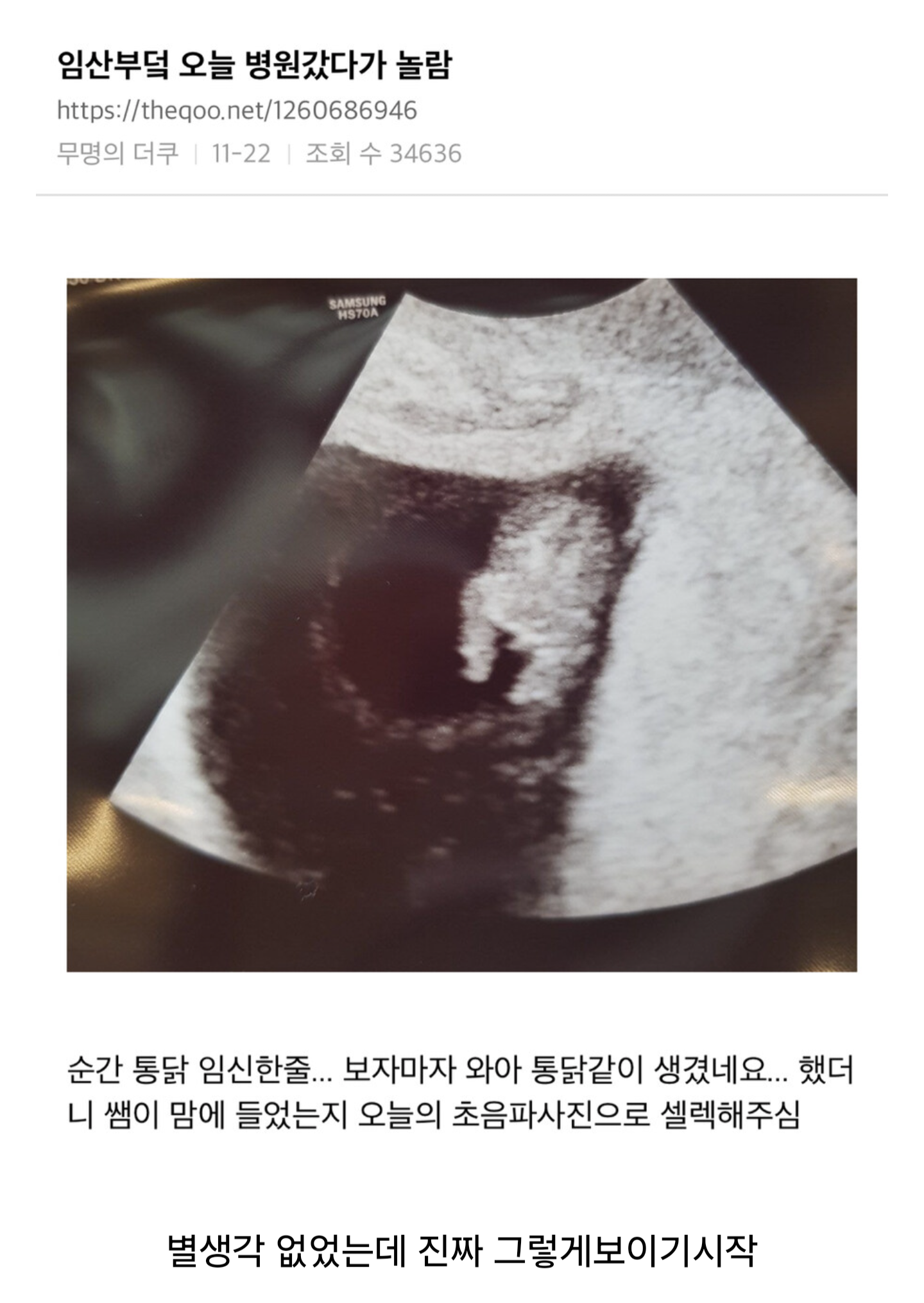 게시물 이미지