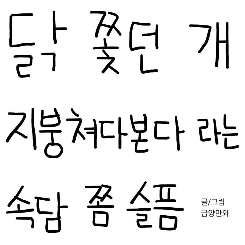 게시물 이미지