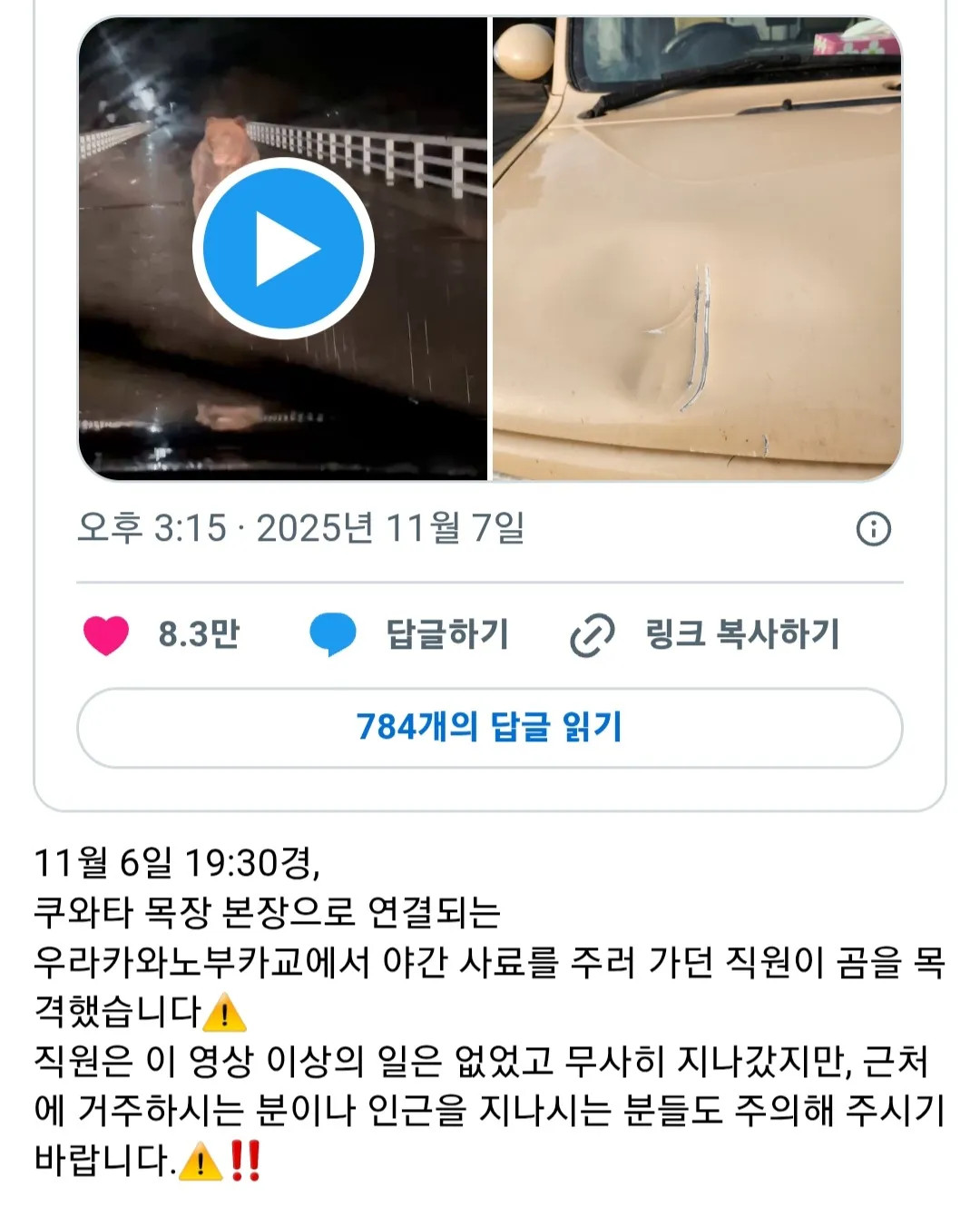 게시물 이미지